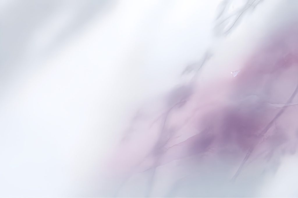 青みと深さを感じながらも構えず使える穏やかなプラムの余韻を、淡い色影と静かな余白で表現した、Mild Plumまとめ用の抽象イメージ
